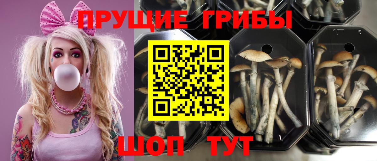 Галлюциногенные грибы ЛСД Оренбург