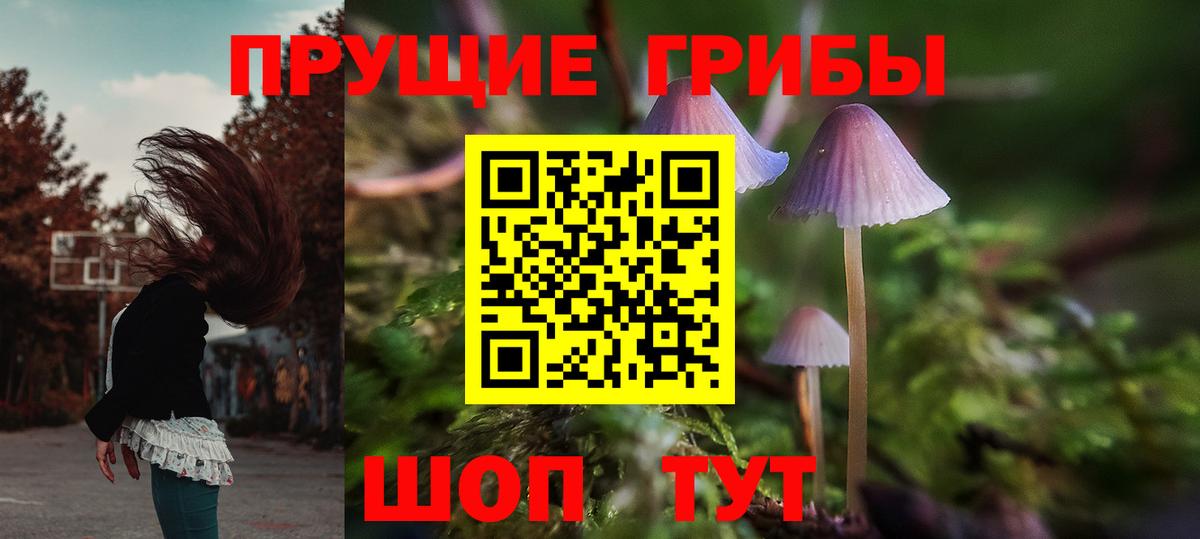 Галлюциногенные грибы Magic Shrooms  Псилоцибиновые грибы ЛСД  Оренбург  Вход с VPN 